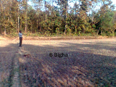 6 Bigha available fulbaria Gazipur large image 0