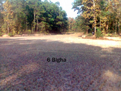 6 Bigha available fulbaria Gazipur large image 1