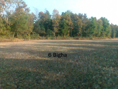 6 Bigha available fulbaria Gazipur large image 2