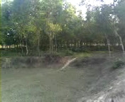 21 bigha Land available fulbaria Gazipur large image 1