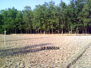 32 Shotok Land Available Chabagan large image 2