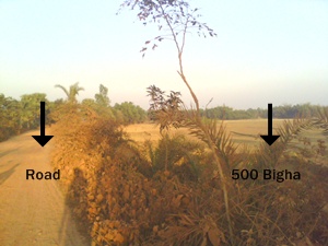 500 Bigha land available soaling more Gazipur large image 0