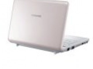 Samsung PINK netbook N130