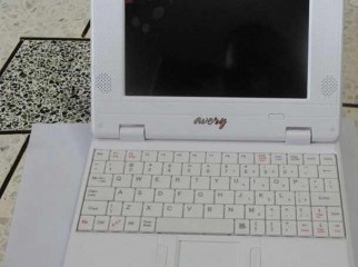 avery notebook mini 1GHz 512MB Ram 4 16 GB HDD Details