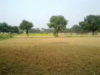 Exclusive Land Plot For Sale - Basaid Ashulia Savar.