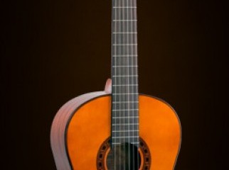 classical guiter valencia cg190