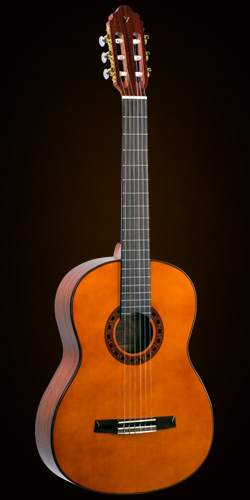 classical guiter valencia cg190 large image 0