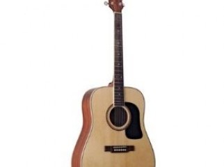 ACOUSTIC GUITAR WASHBURN D10N