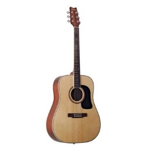 ACOUSTIC GUITAR WASHBURN D10N large image 0