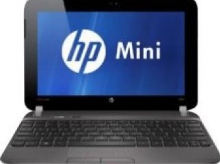 HP Mini 10.1-Inch Netbook Black 