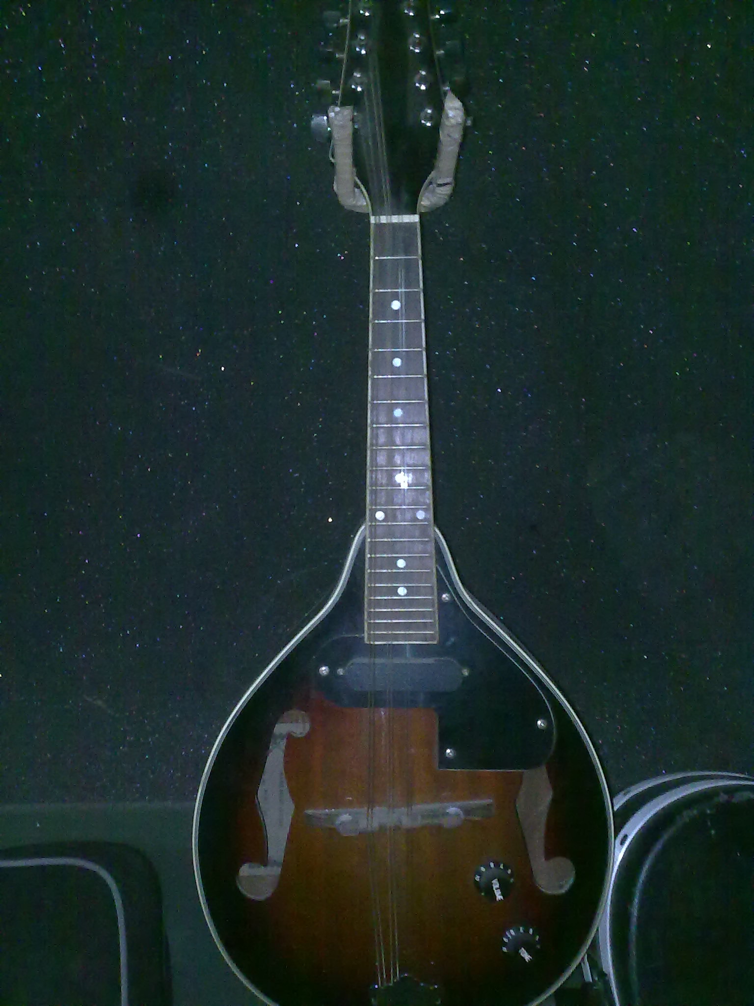 Custom Mandolin large image 0