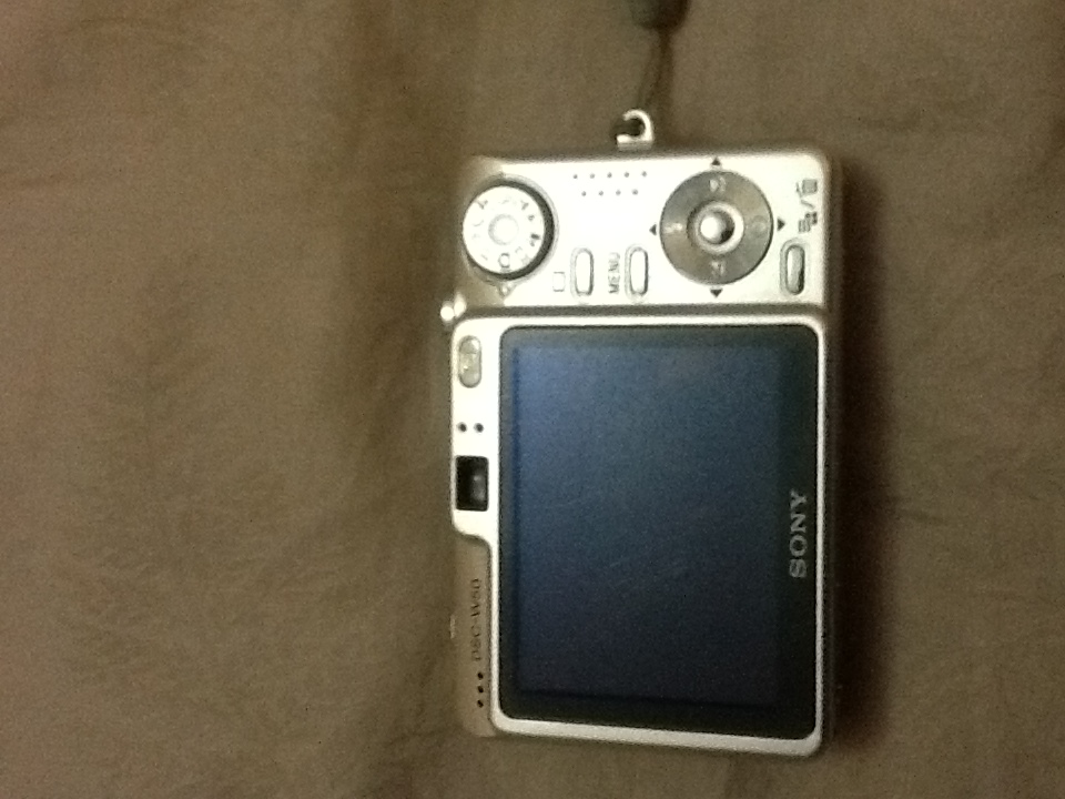 Sony Digital Camera DSC-W50 large image 1