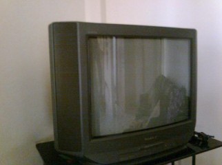 Sony Trinitron 21 Color TV