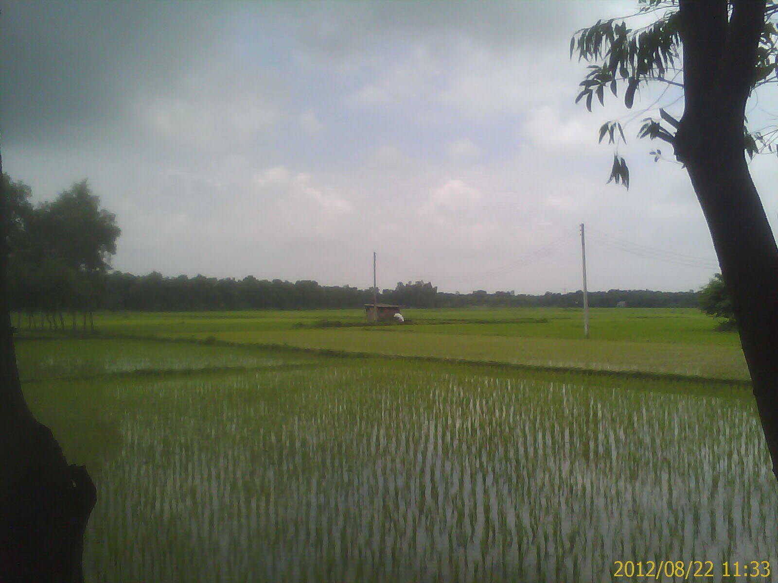 Land at Tangail Town large image 0