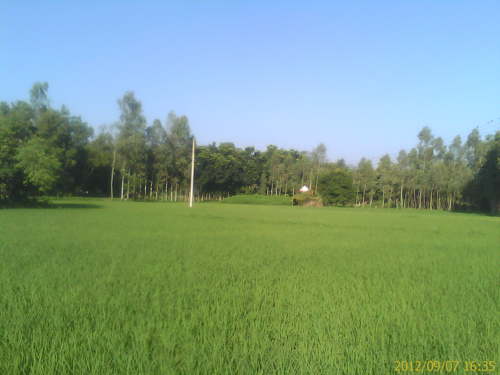 Land at Tangail Town large image 1