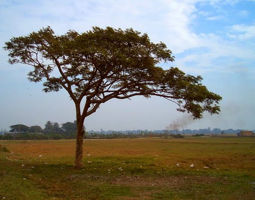 Land Sale at Nandipara Khilgaon Dhaka large image 0