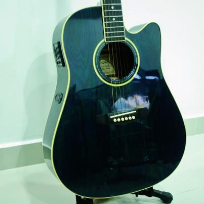 Ibanez pf acoustic Guitar large image 0