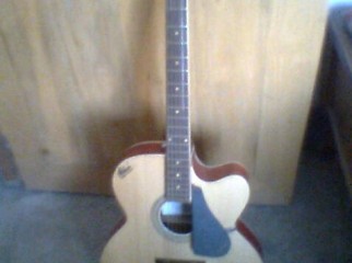 Hobner acoustic guitar