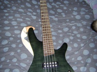 bass guitar