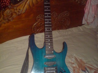 Custom Electric Guitar