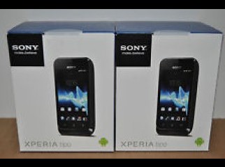 Sony XPERIA Tipo ST21i