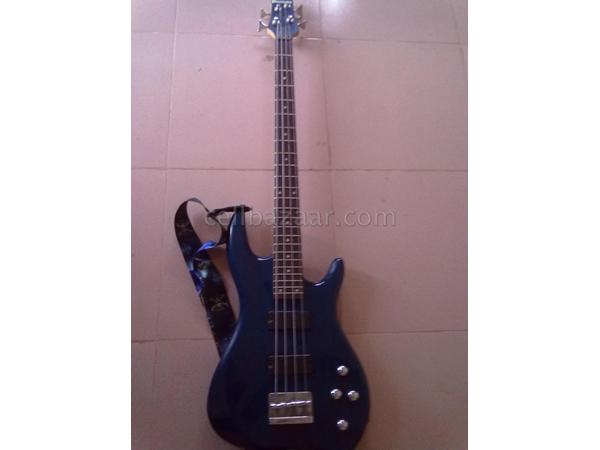 Bass guiter pinnate tm large image 0