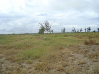 Ready Plot 4 Urgent Sale in West Mohammadpur Washpur