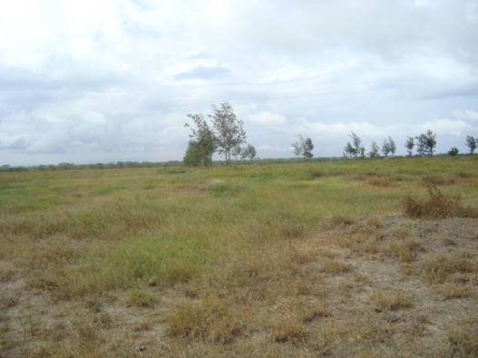 Ready Plot 4 Urgent Sale in West Mohammadpur Washpur large image 0