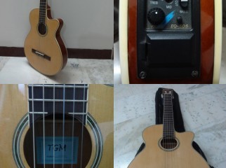 TGM Electro Classical For Sale