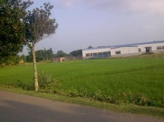 Land sell in short time in Gazipur Baipassroad Dhirasrom