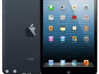 Apple iPad Mini large image 0