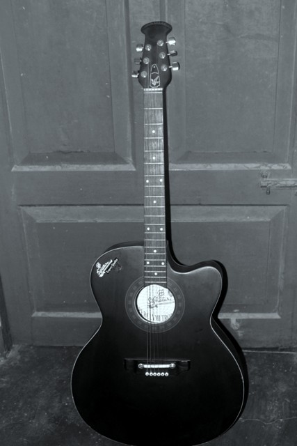 acoustic signature guitar large image 0