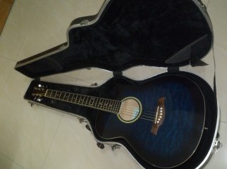 TGM Acoustic Guitar With CNB Hard Case