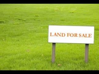 land for sale