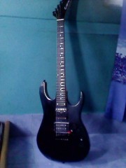 Custom Lead Guiter